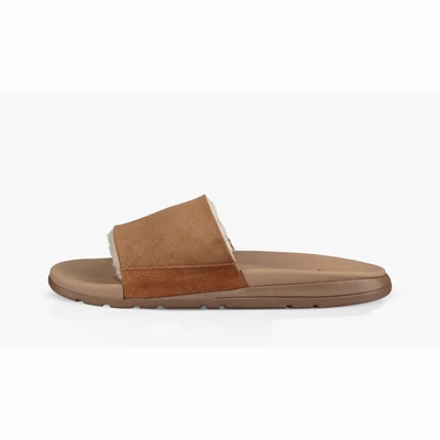 Chinelos UGG Xavier Twinface Slide Homem Marrom | PT-WGYIV